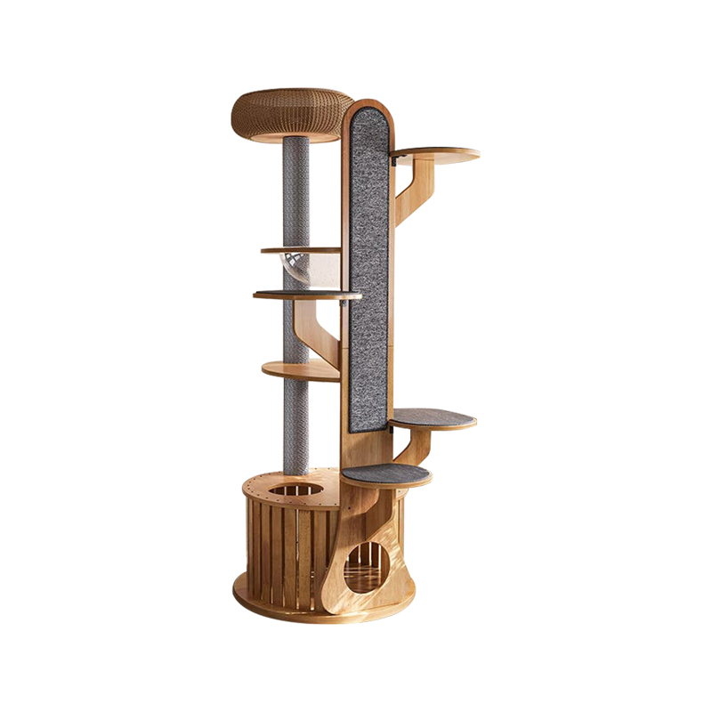 Cactus Forme du cadre en bois Frame de chat solide avec capsule d'espace