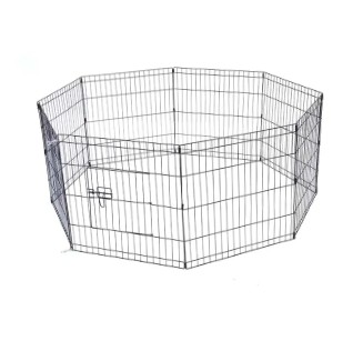 Comment entraîner votre animal à utiliser les cages pour animaux de compagnie ?