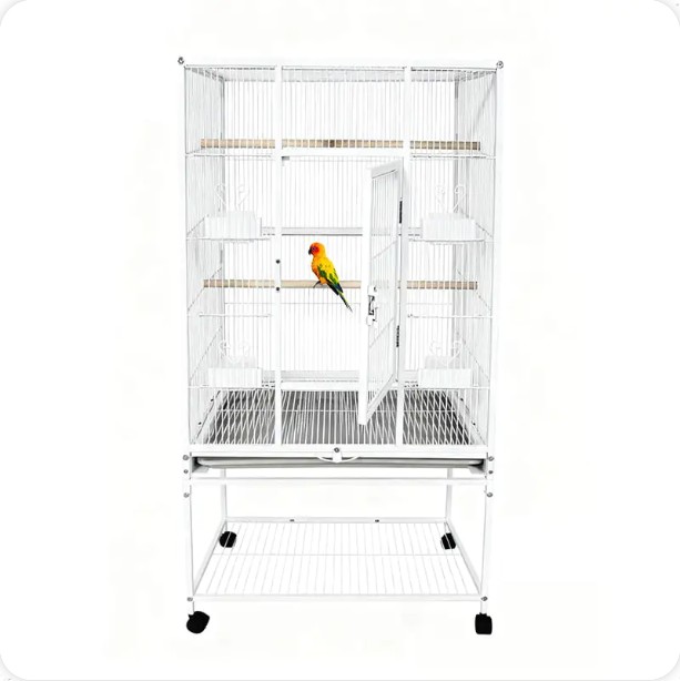 Les oiseaux préfèrent-ils les cages hautes ou larges ?
