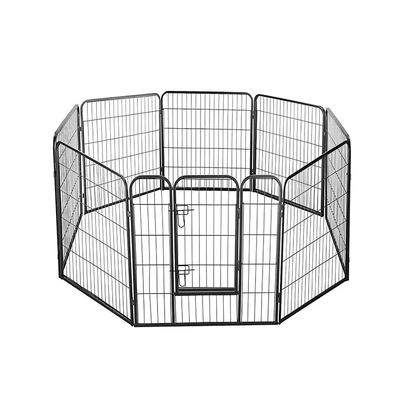 Guide des cages pour animaux : types, matériaux et conseils de sélection