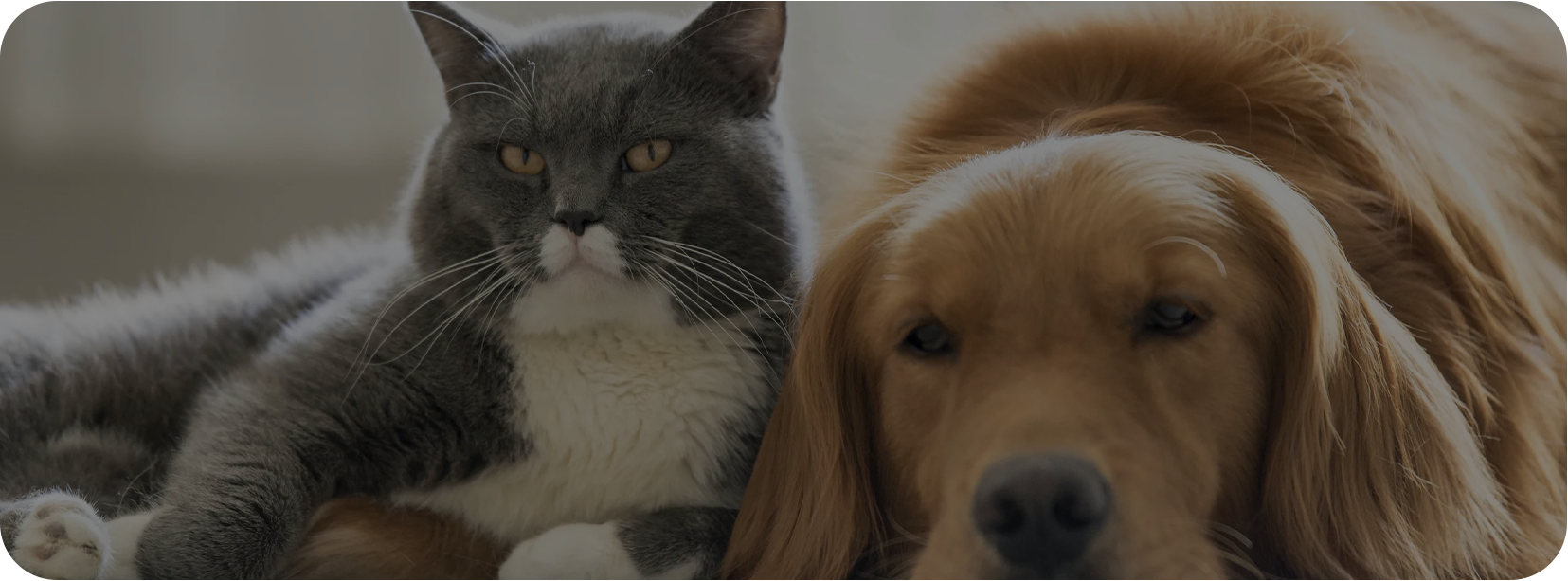 Pet Home (Haian) Co., Ltd